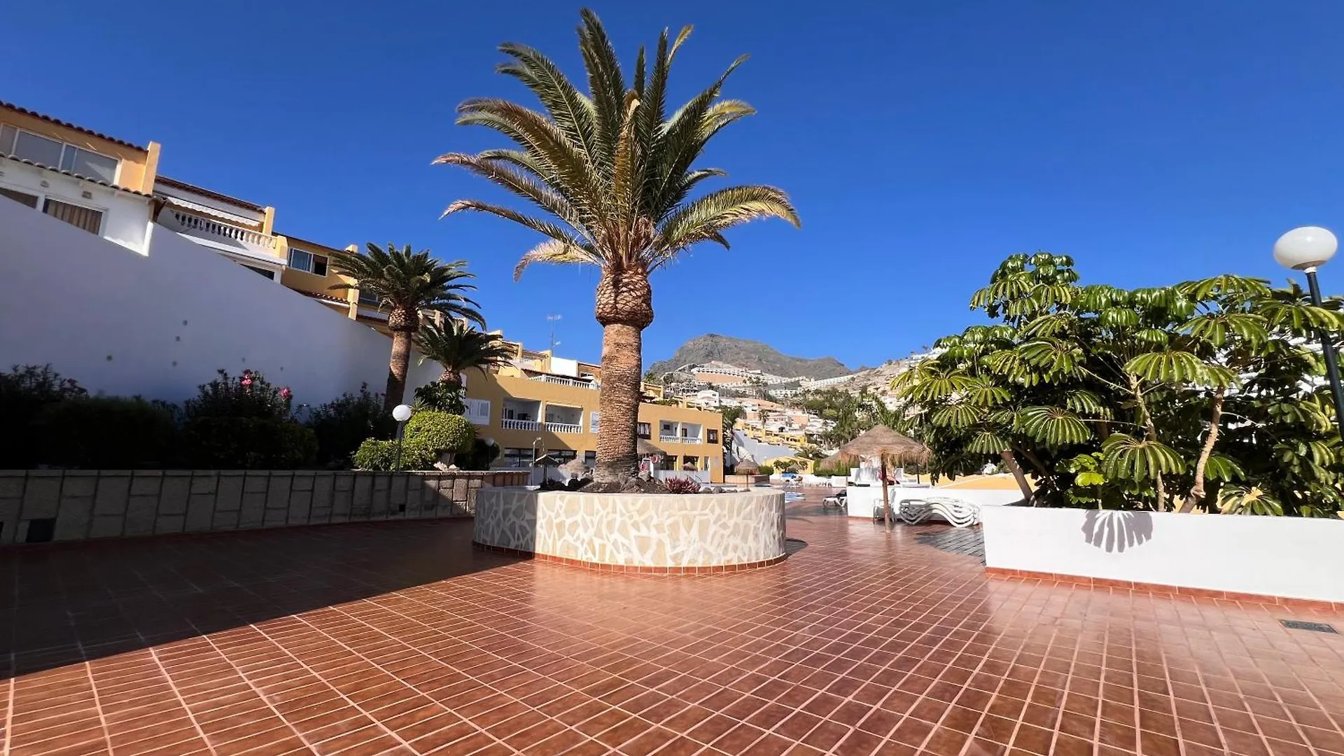 Obsidian Brisas De Adeje Apartment Costa Adeje  Costa Adeje (Tenerife)